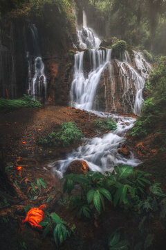View of Goa Tetes waterfall cascading through lush greenery in a serene forest, Pronojiwo, Lumajang, East Java, Indonesia.