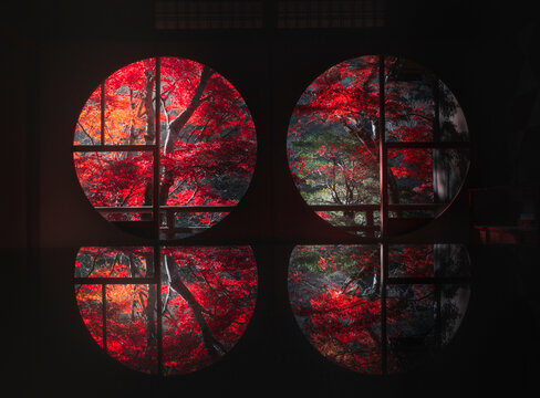 View of serene circle window reflecting vibrant autumn red leaves, Arashiyama, Ukyou-ku, Kyoto, Japan.