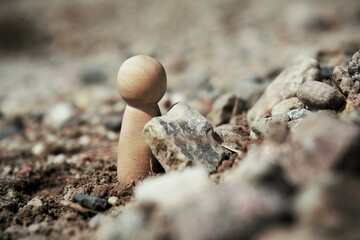 Wooden figure that moves stones. A heavy burden as a symbol that is shifted and removed. A protective wall is built through which no attack can pass and protects against pain.
