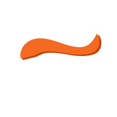 Swoosh and swash typography tails shape
