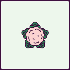 Stylized cauliflower head illustration with unique color palette vector icon