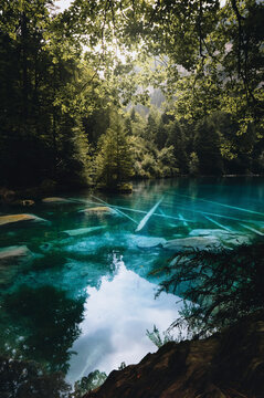View of tranquil Blausee lake with crystal clear water reflecting surrounding trees and forest, Bern, Switzerland.