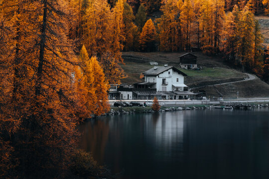 View of serene autumn landscape with tranquil lake reflecting colorful foliage and rustic cabin surrounded by forest, Plaun de Lej, Graubunden, Switzerland.