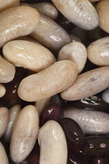 A close-up, top-down view of rehydrated beans, showing a mix of light and dark varieties with a...