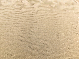 Background with sand waves on the beach close-up. Sand dunes on a sunny summer day.