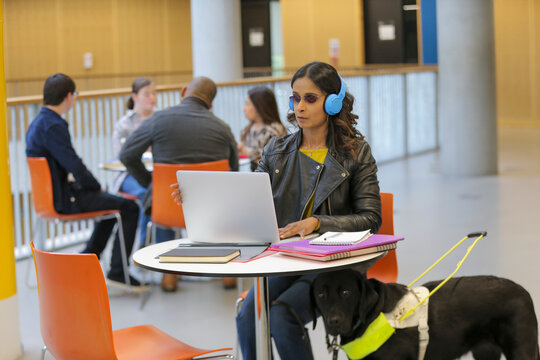 Student with guide dog at university