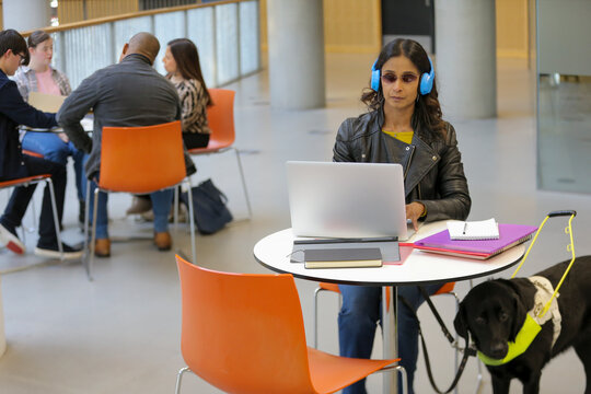 Student with guide dog at university