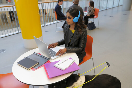 Student with guide dog at university