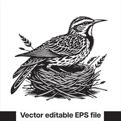  silhouette Western meadowlark Bird in the nest