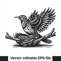  silhouette Western meadowlark Bird in the nest