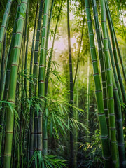 Obraz premium Lush green bamboo swaying gently in soft morning light.