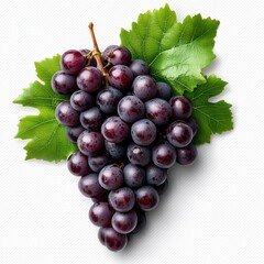 Fototapeta premium Ripe Dark Purple Grapes with Green Leaves on White Background