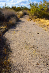 Arizona Desert Arroyo