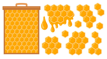 Honeycomb with bee honey set. Apiary collection objects. Beeswax. Organic honey drop. Vector illustration isolated on white background