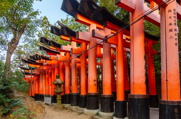Torii gates of Fushimi Inari Taisha shrine in Kyoto, Japan