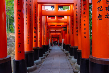 Torii gates of Fushimi Inari Taisha shrine in Kyoto, Japan