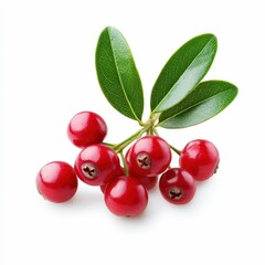 Lingonberries and Leaves