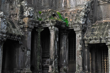 The artistic side of the Angkor Wat temple