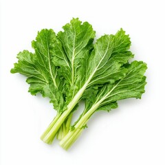 Fresh Mustard Greens