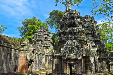 The Tombraider temple (Ta prohm) in Cambodia
