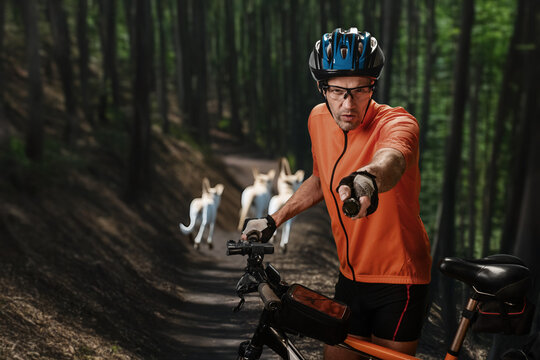 Young male cyclist using stun gun protect himself against dogs in forest. Close-up of stray dog repeller in action, cyclist fending off approaching dogs during an outdoor ride