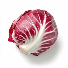 Vibrant Radicchio Head