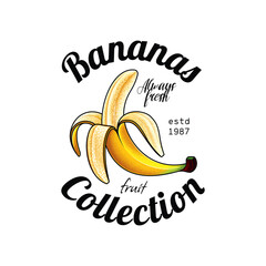 Emblem collection of fruits. Bananas. Original vector illustration in vintage style. T-shirt design.