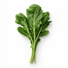 Fresh Green Chard Bunch