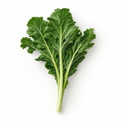Fresh Collard Greens Bunch