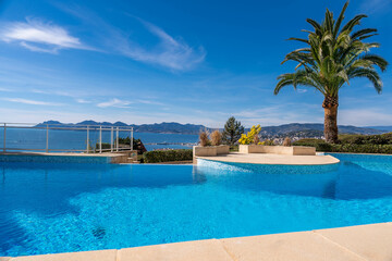 Infinity pool with panoramic sea view and palm tree