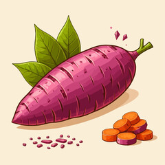 vector illustration of a sweet potato