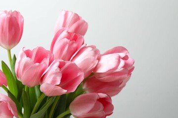 Beautiful bouquet of fresh tulips on a white background