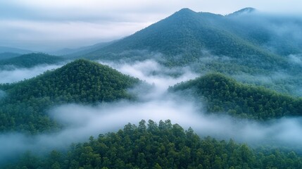 Misty mountain range covered in lush forest