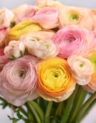 Obraz premium ラナンキュラスの花束