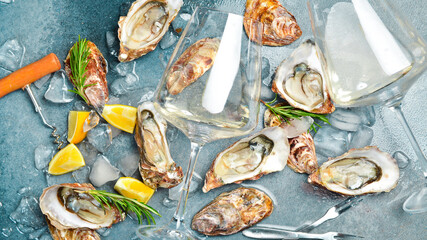 Composition of wine, glasses and fresh open oysters. Healthy sea food. on a gray textured stone background. Free space for text.