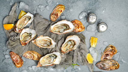 fresh raw oysters with ice. Healthy sea food. on gray textured stone background. Free space for text.