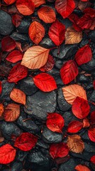 Autumn leaves on wet stones