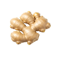 Fresh ginger root isolated on a clean transparent background, perfect for adding to various creative projects
