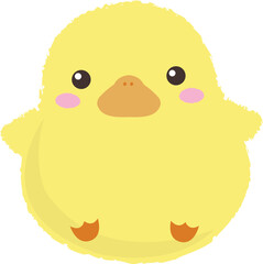 통통하고 노란 아기오리 duck