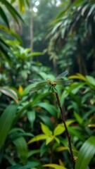  A graceful dragonfly with iridescent green wings perched on a slender branch in a tropical rainforest.