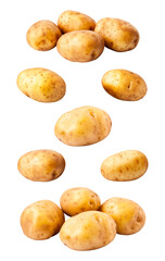 Set of potatoes. Isolated on transparent background