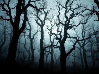 Obraz premium Ancient Forest with Silhouetted Trees and Wisps of Fog Dancing in the Cool Air