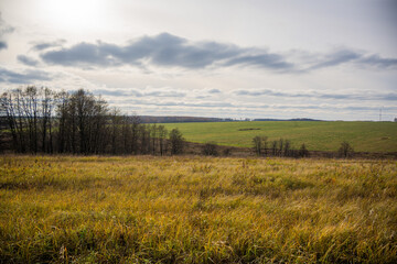 field and sky