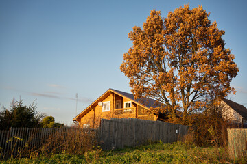 oak and house