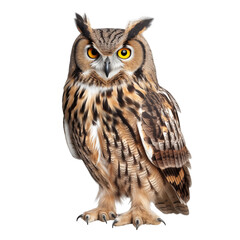 Fototapeta premium Realistic PNG of an Owl – High-Quality Cutout on White Background