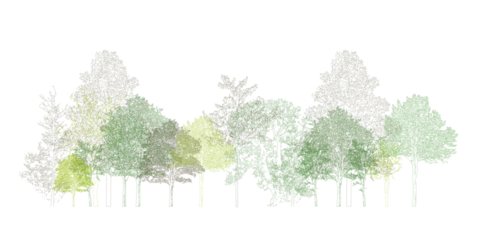 Fotobehang Architectural Drawings, Minimal style cad tree line drawing, Side view, set of section wetland forest outline for landscape design drawing. Vector illustration in seperate element © feipco
