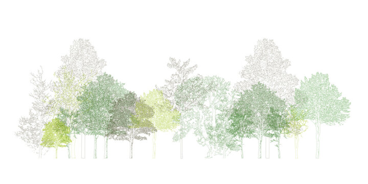 Fototapeta Architectural Drawings, Minimal style cad tree line drawing, Side view, set of section wetland forest outline for landscape design drawing. Vector illustration in seperate element