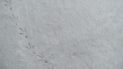 Obraz premium Empty Rough concrete loft wall texture Background interior or cement surface floor well material free space for text present Banner design