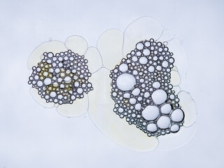 Transparent and pale yellow soap and oil bubbles. Plain light-gray background.