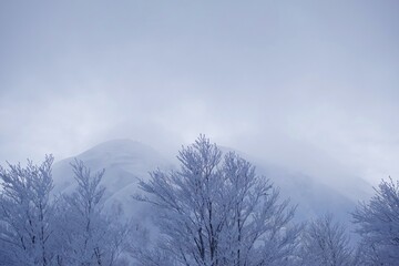 厳冬期荒島岳/2月雪山登山